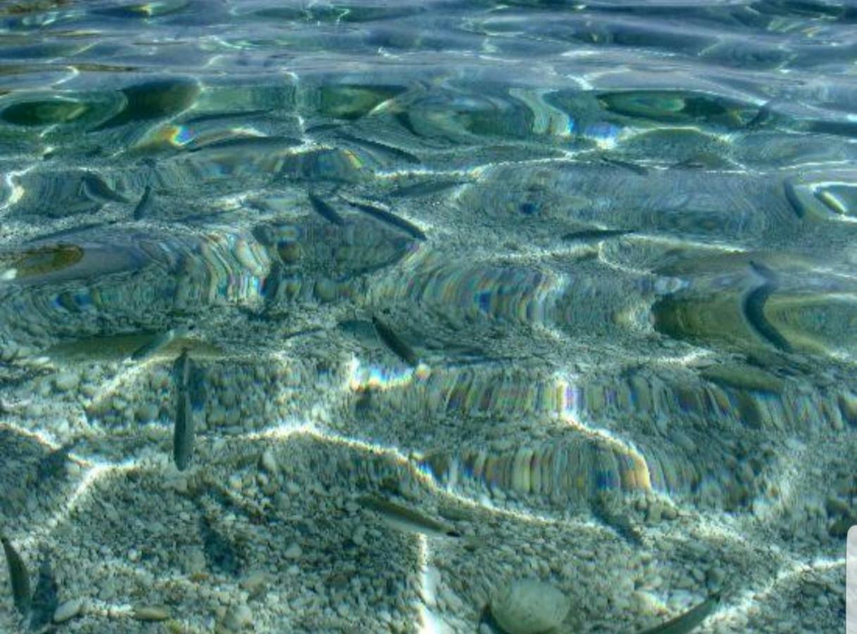 Casa Vacanze Sea-Life Alcamo Marina Buitenkant foto